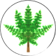 Weed-Tour-logo