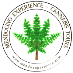 Mendocino Experience