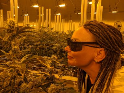 Woman smelling cannabis flowers at an indoor grow