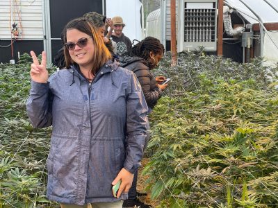 Tourists on a cannabis farm tour